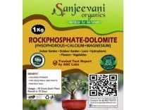 sanjeevani Organics Enriched 36% Rock phosphate (Phosphorous Rich ) Powder mix with Dolomite ( calcium and Magnesium Rich} red and white soil {1 KG} Soil(1 kg, Powder) Rs.89