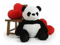TAS Ambey EnterprisesNew Special Valentine Offer 4 feet Panda Teddybear for Birthday Gift/Anniversary Gift/Valentine Gift/Special Gift for Girlfriend ( Black and White,122 cm) Rs.587
