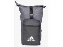 ADIDAS NA 2.5 L Backpack (Grey, Black)