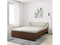 Amazon Brand – Solimo Tucana Engineered Wood Queen Bed (Walnut Finish) Rs. 10999