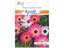Mesembrynthemum or Ice Flower – Flower Seeds by Kraft Seeds Rs. 49