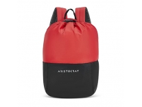 Aristocrat Draw-Pack 15L Unisex Red Laptop Bags Rs.290