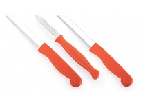 Ritu Stainless Steel Kitchen Knife Set of 3, Multicolor, Small (J-284) Rs.67