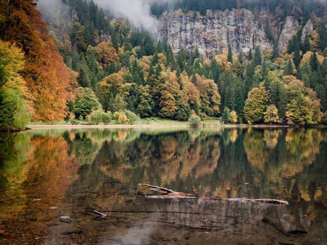 33 Stunning Photographs From The Black Forest