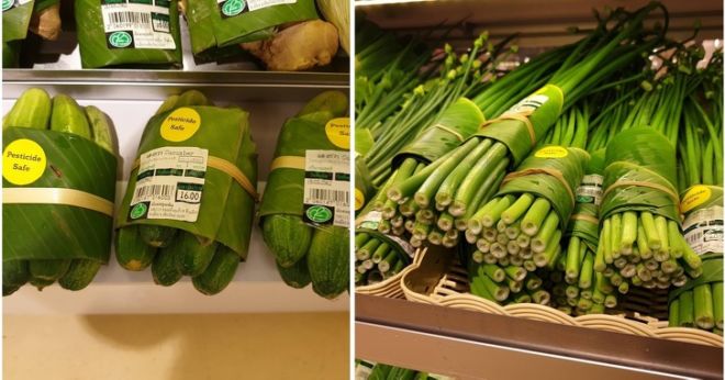 14 Greatest Solutions To World’s Plastic Problems