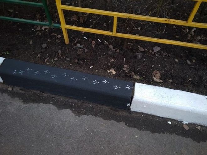 20 Badass Birds That Will Make Your Laugh