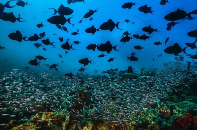 12 Most Amazing Photos From The Wildlife Photographer Of The Year 2019 Contest