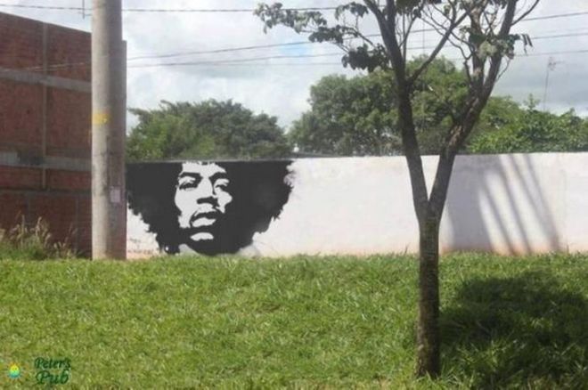 23 Street Artworks That Combine With Nature