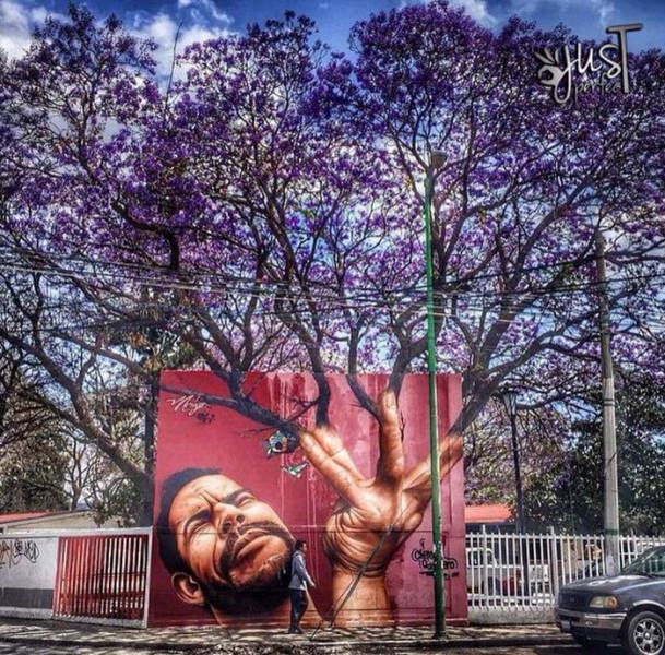 23 Street Artworks That Combine With Nature