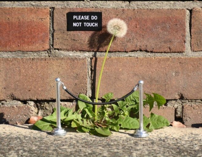 23 Street Artworks That Combine With Nature