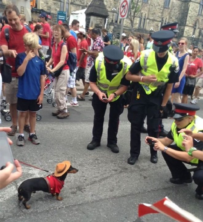 It Happens Only In Canada