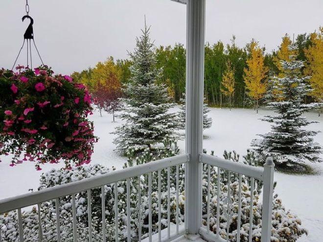 It Happens Only In Canada