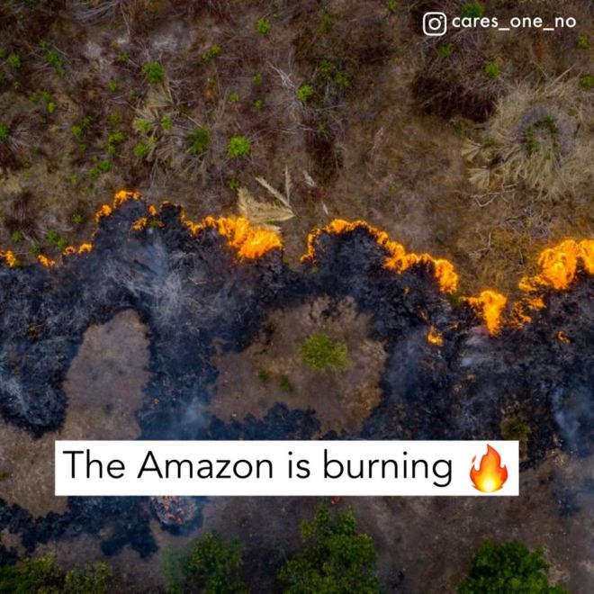 The Alarming Effects Of Climate Change