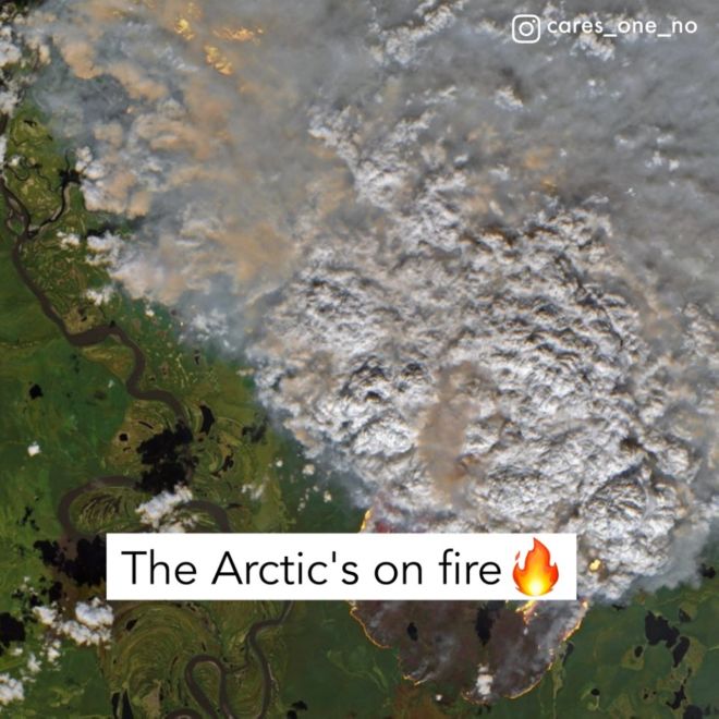 The Alarming Effects Of Climate Change