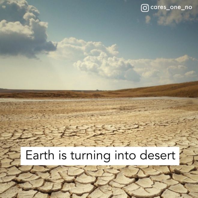 The Alarming Effects Of Climate Change