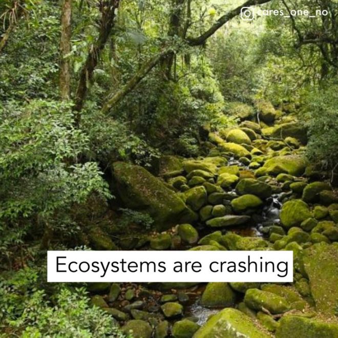 The Alarming Effects Of Climate Change