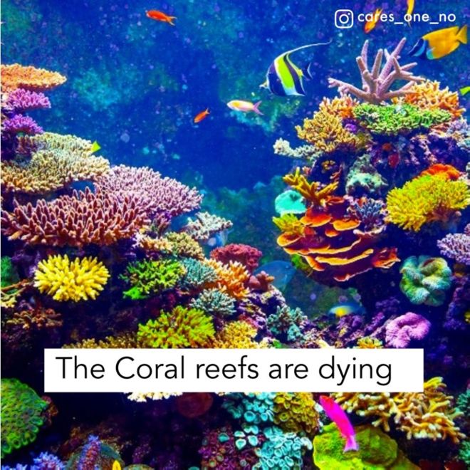 The Alarming Effects Of Climate Change