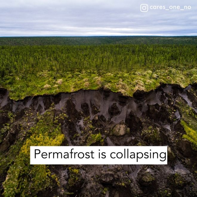 The Alarming Effects Of Climate Change