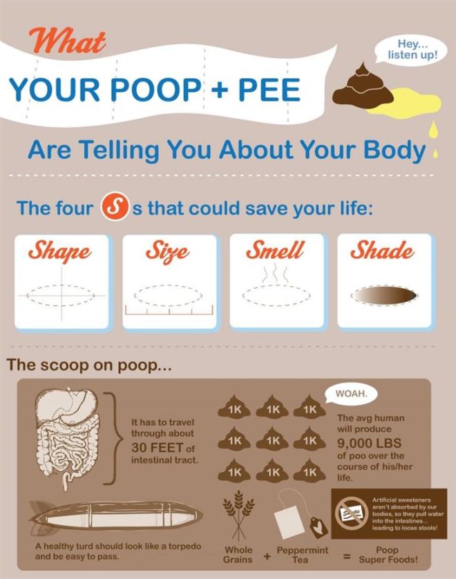 All You Need To Know About Your Body Waste