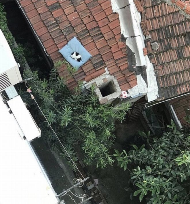 17 Random And Inspiring Acts Of Kindness That Will Melt Your Heart