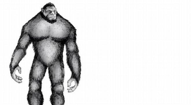 12 Surprising Phenomena That Leave Scientists Speechless