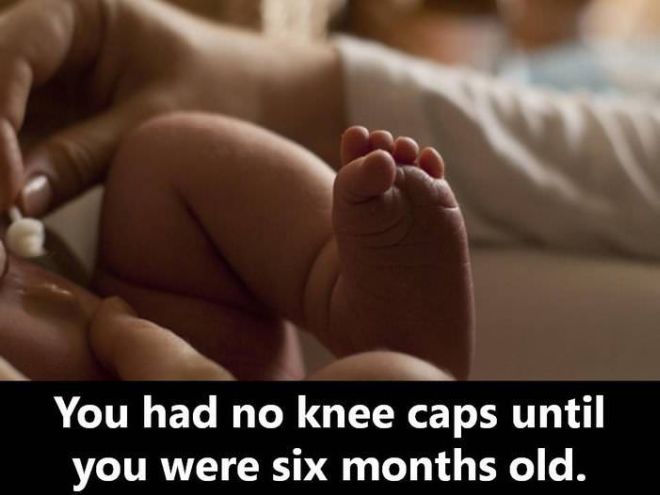 19 Surprising Facts About Your Early Years