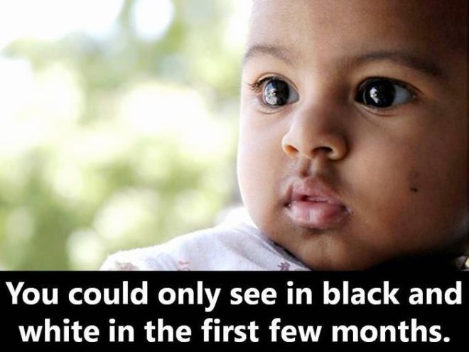 19 Surprising Facts About Your Early Years