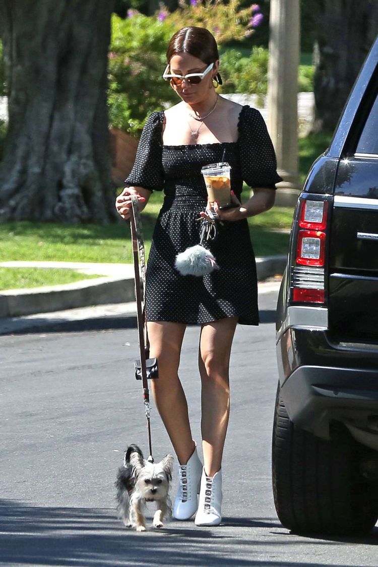 Ashley Tisdale Walking Her Dog In Los Angeles