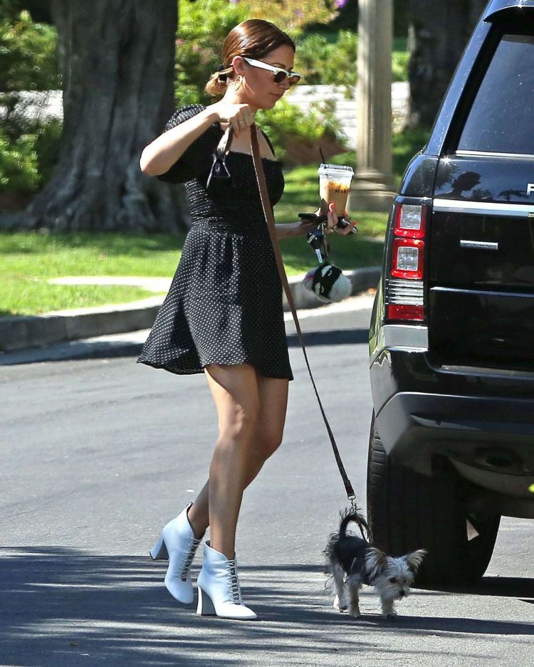 Ashley Tisdale Walking Her Dog In Los Angeles