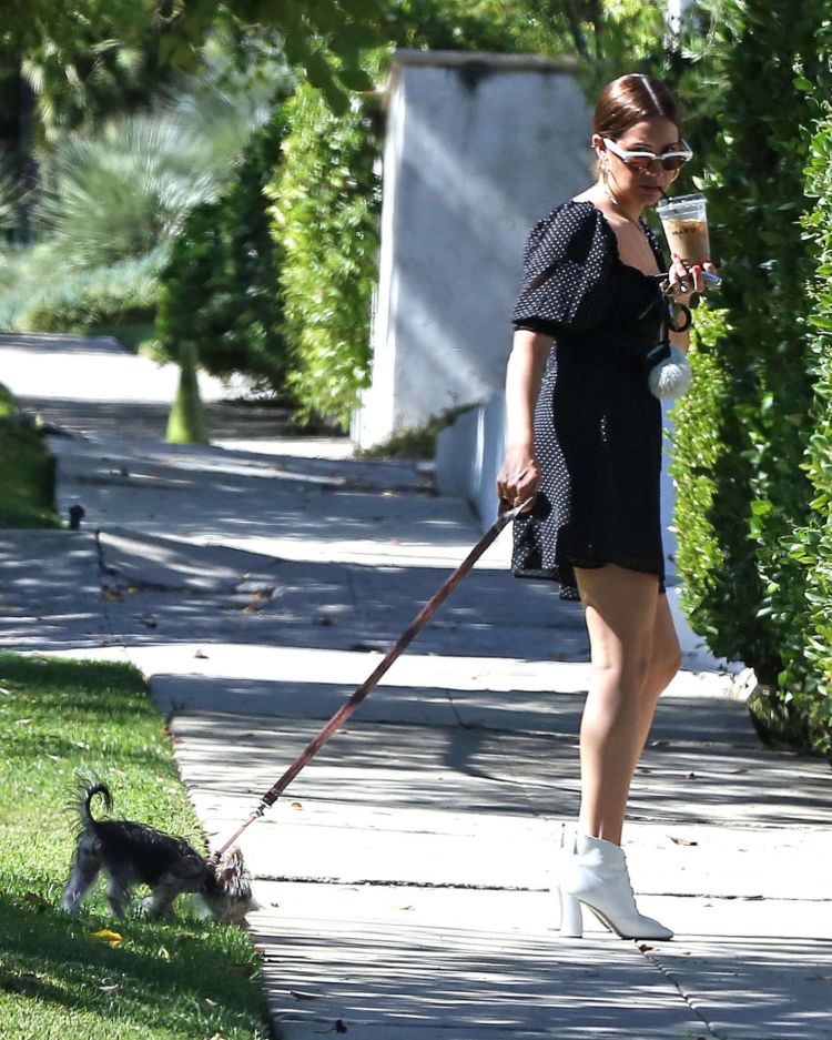 Ashley Tisdale Walking Her Dog In Los Angeles