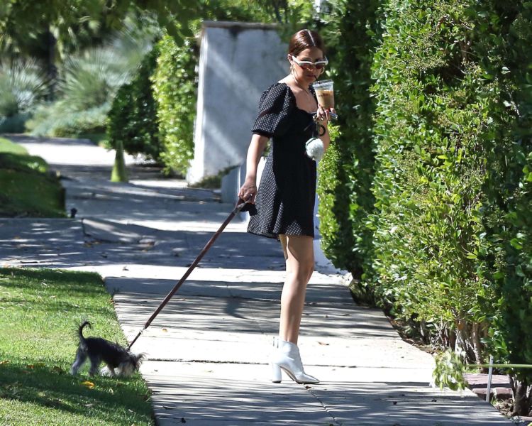 Ashley Tisdale Walking Her Dog In Los Angeles