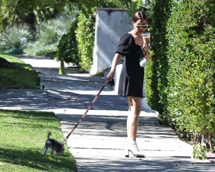 Ashley Tisdale Walking Her Dog In Los Angeles