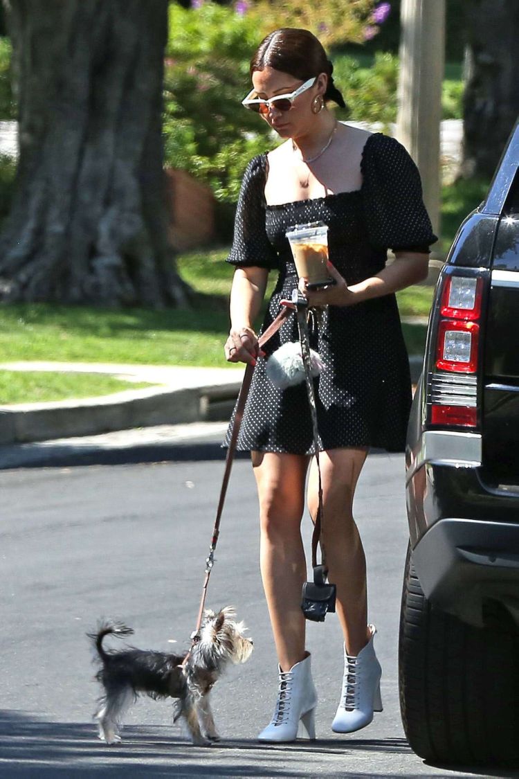 Ashley Tisdale Walking Her Dog In Los Angeles