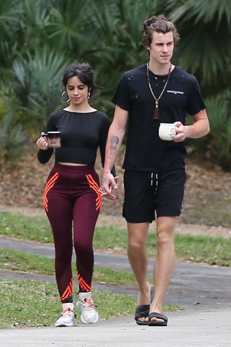 Camila Cabello Spotted With Boyfriend Out In Miami