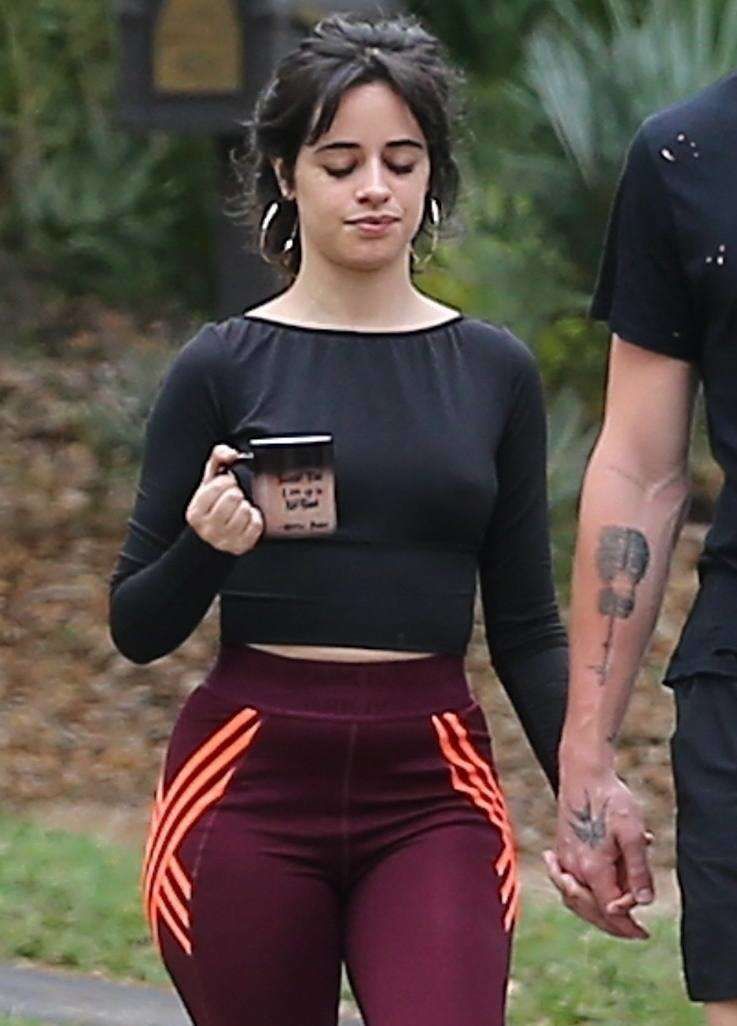 Camila Cabello Spotted With Boyfriend Out In Miami