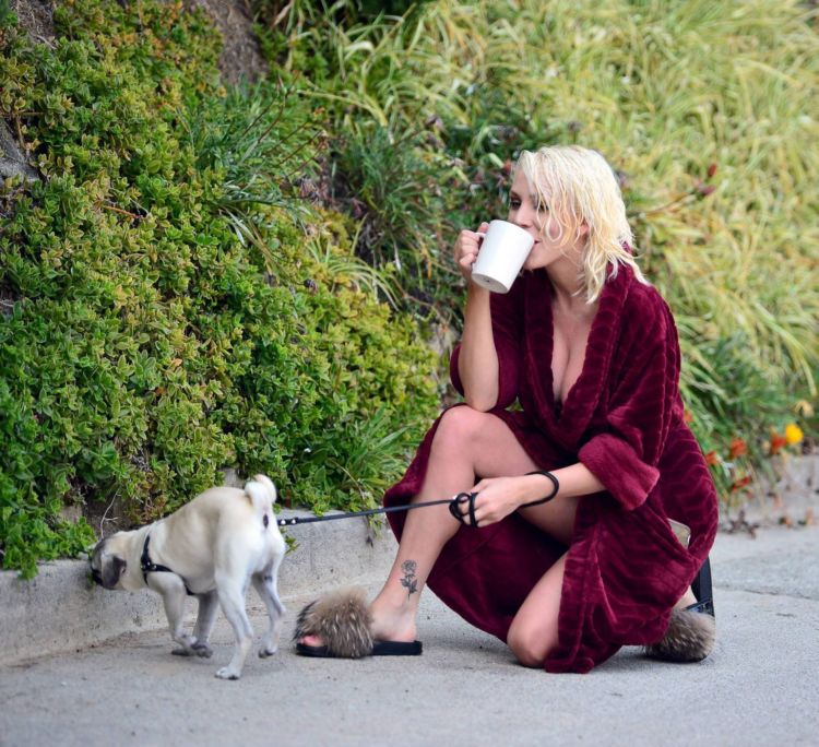 Courtney Stodden Walking Her Dog Out In Los Angeles