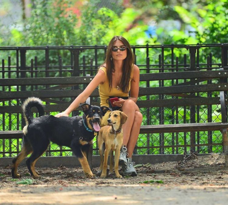Pretty Emily Ratajkowski Walking Her Dog In New York