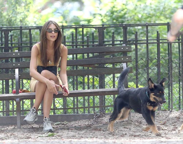 Pretty Emily Ratajkowski Walking Her Dog In New York