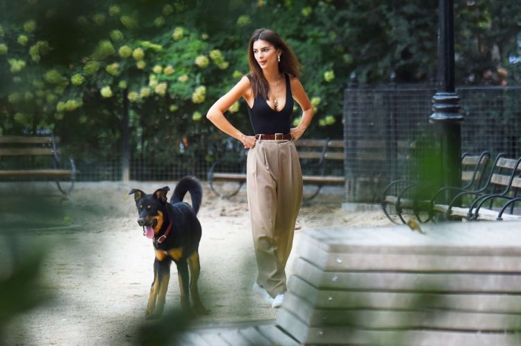 Emily Ratajkowski Spotted Playing Fetch With Her Dog In New York 