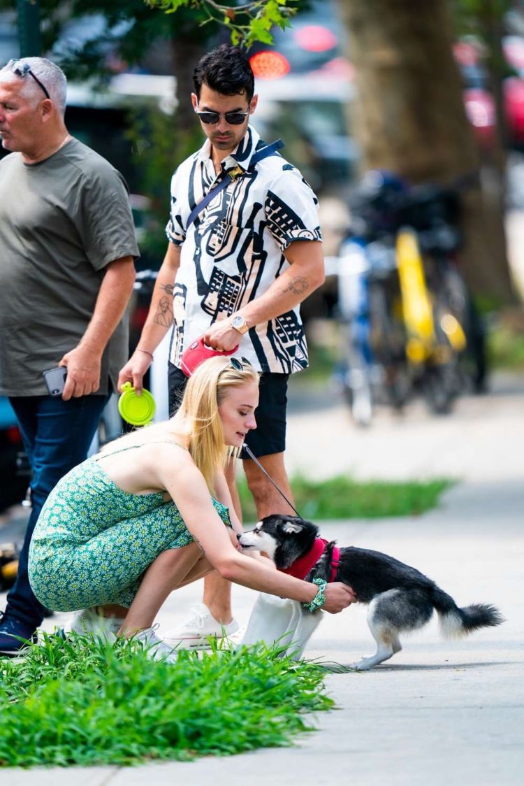 Sophie Turner Takes Her Dog Porky To McCarren Park In Brooklyn