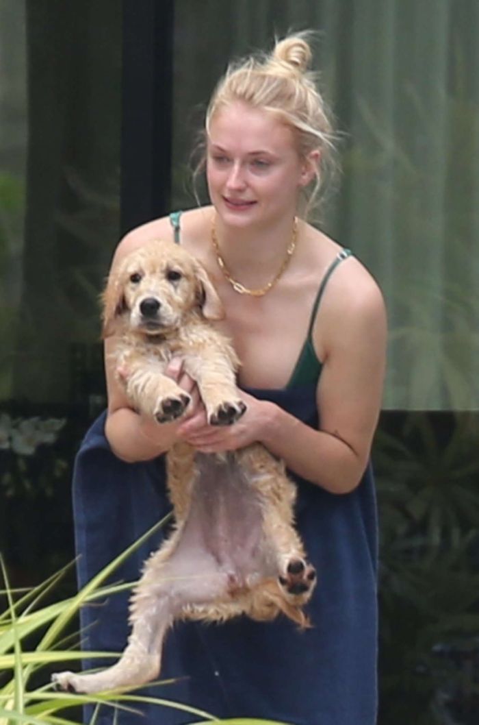 Sophie Turner In A Bikini With Dog In Miami