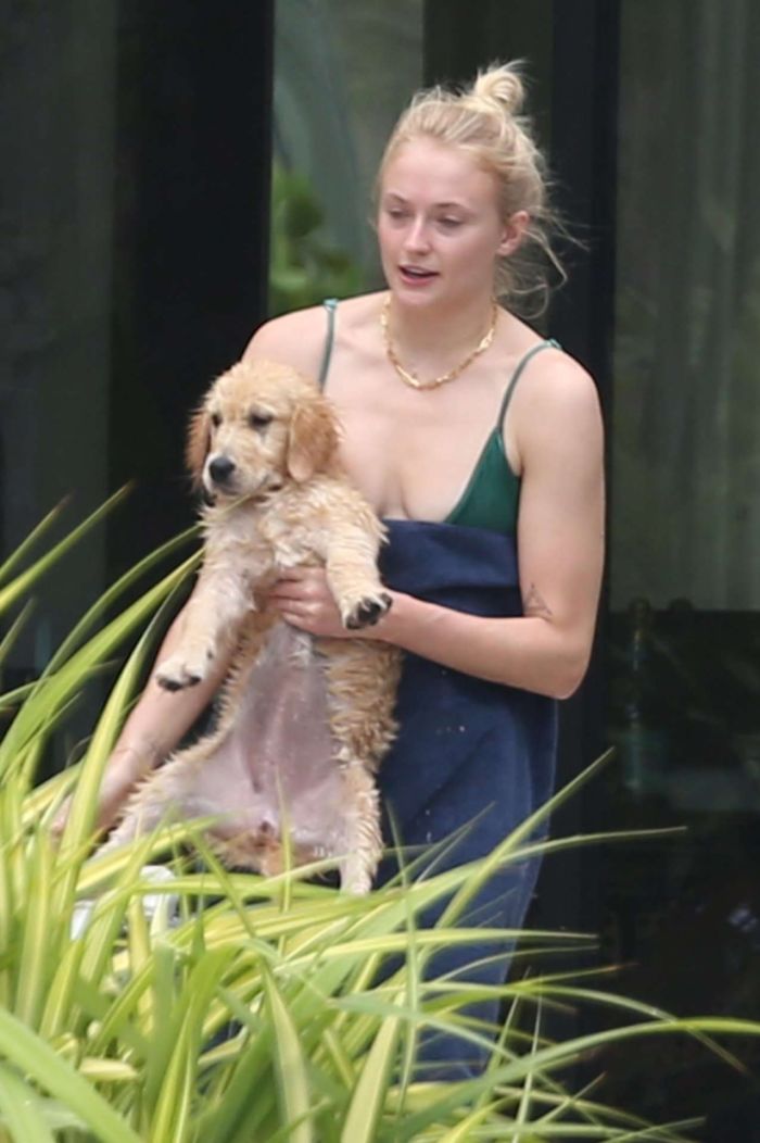 Sophie Turner In A Bikini With Dog In Miami
