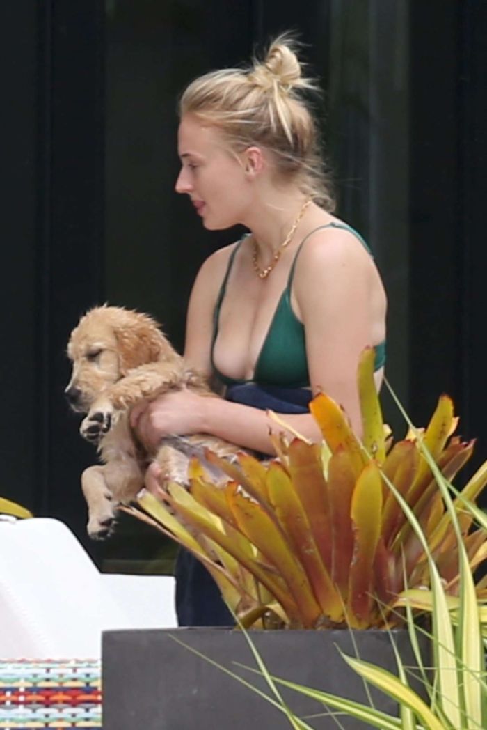 Sophie Turner In A Bikini With Dog In Miami