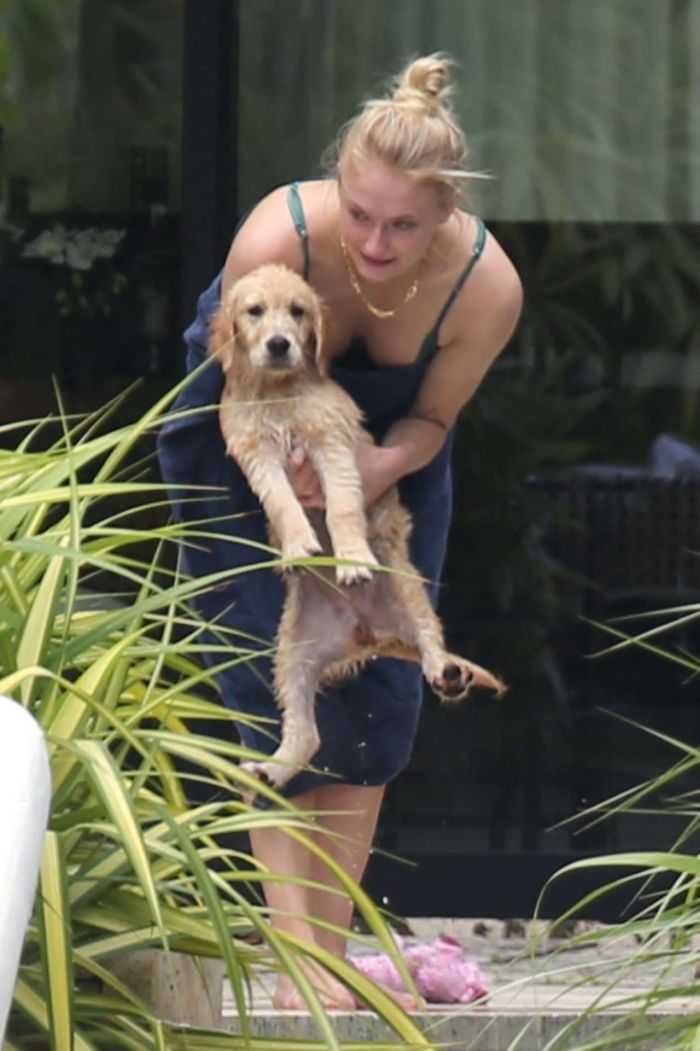 Sophie Turner In A Bikini With Dog In Miami